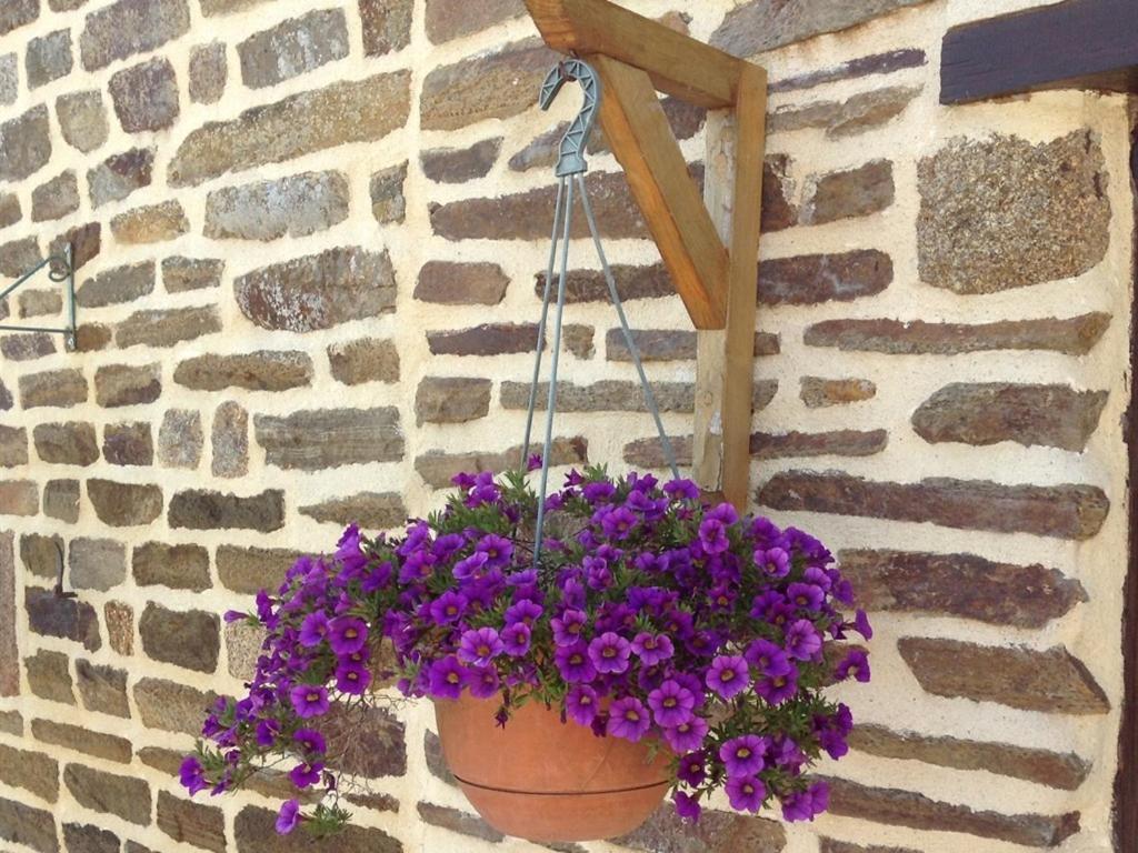 Villa Le Bois Gautier Savigny-le-Vieux Esterno foto